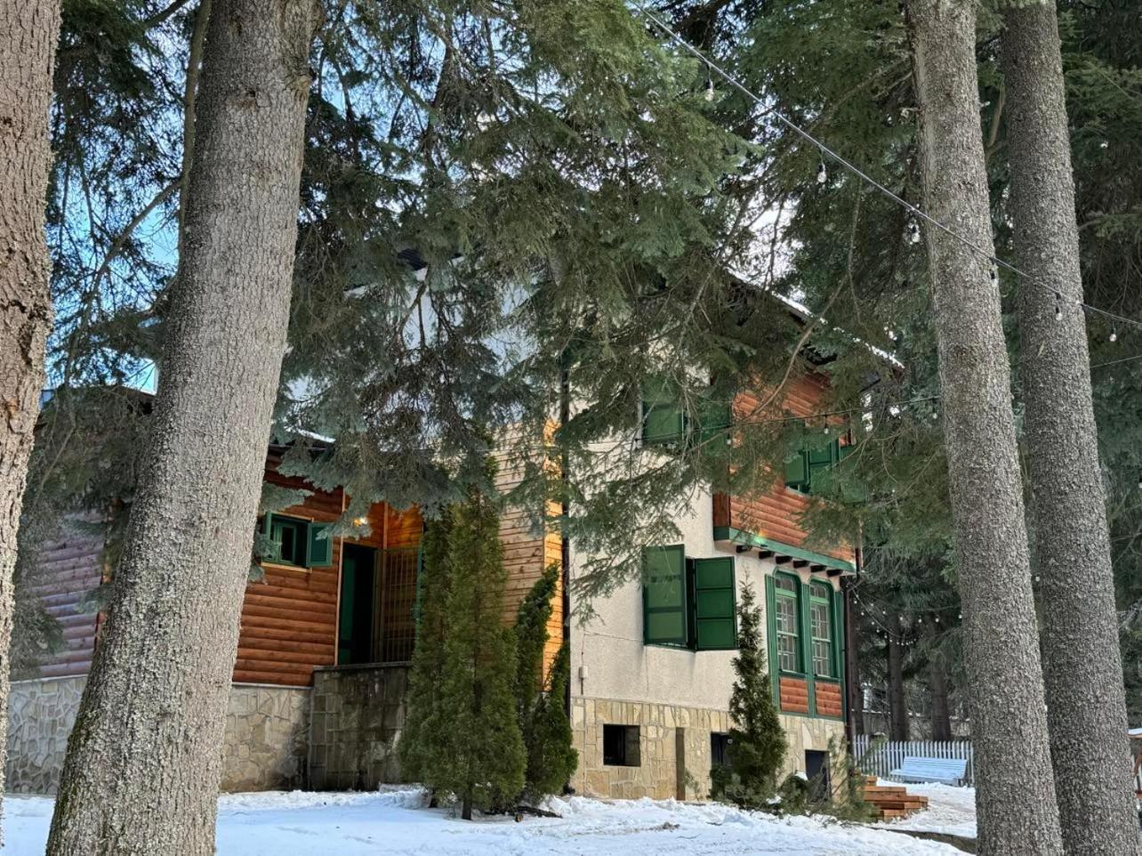 Villa Adis With Hot Pool & Jacuzzi By Bookvillabg Borovets Eksteriør bilde