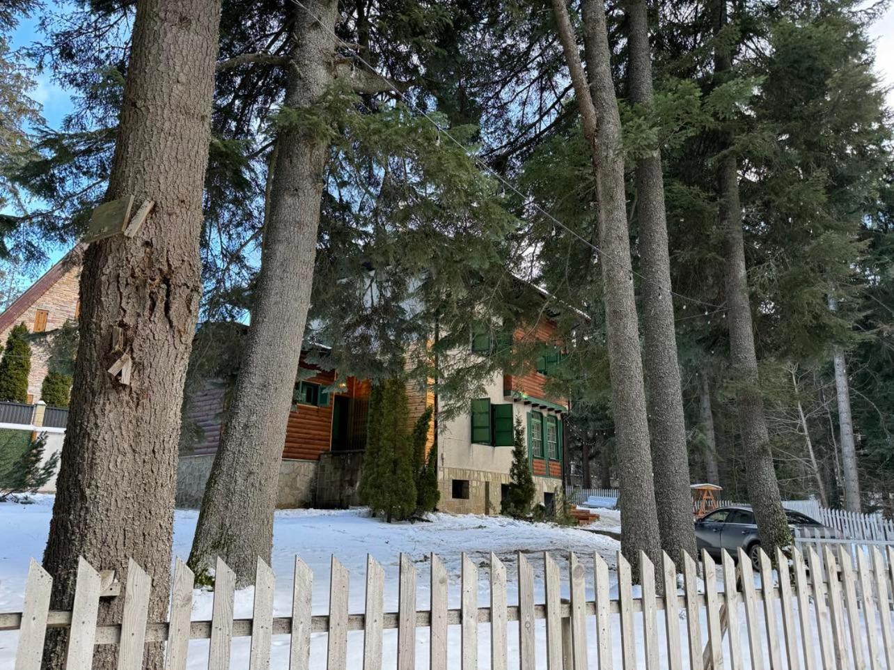 Villa Adis With Hot Pool & Jacuzzi By Bookvillabg Borovets Eksteriør bilde